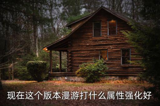 现在这个版本漫游打什么属性强化好