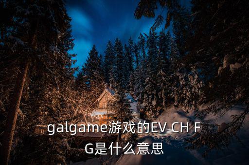 galgame游戏的EV CH FG是什么意思