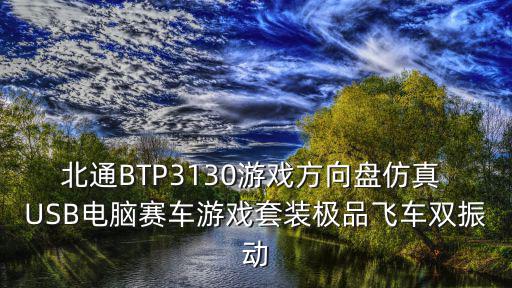 带方向盘的游戏装备叫什么，北通BTP3130游戏方向盘仿真 USB电脑赛车游戏套装极品飞车双振动