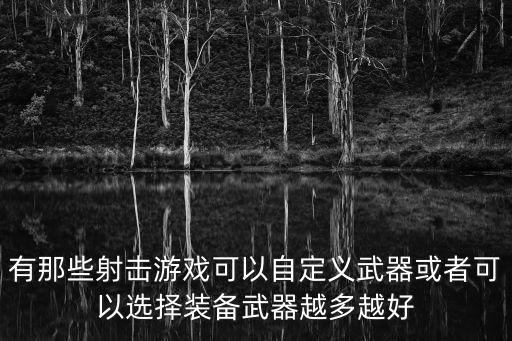 有那些射击游戏可以自定义武器或者可以选择装备武器越多越好