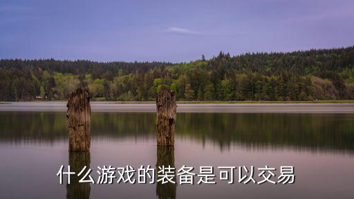 什么游戏的装备是可以交易