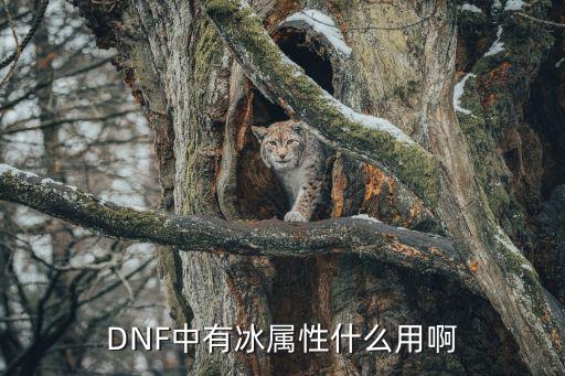 DNF中有冰属性什么用啊