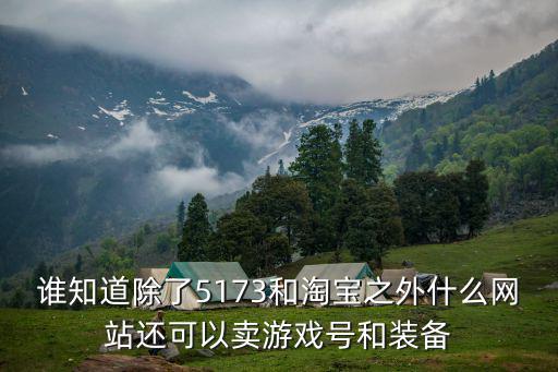 谁知道除了5173和淘宝之外什么网站还可以卖游戏号和装备