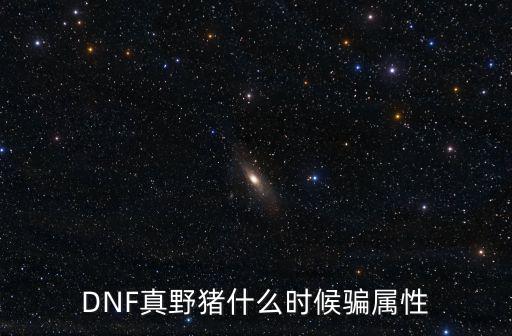 DNF真野猪什么时候骗属性