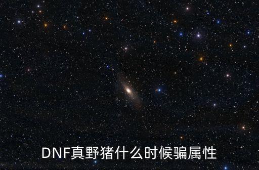 DNF真野猪什么时候骗属性