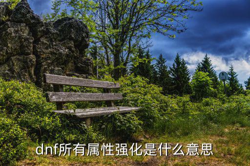 dnf所有属性强化是什么意思