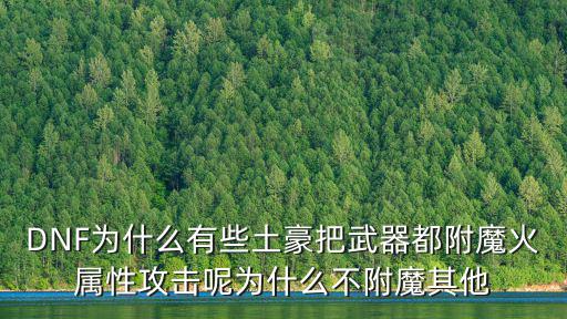 DNF为什么有些土豪把武器都附魔火属性攻击呢为什么不附魔其他