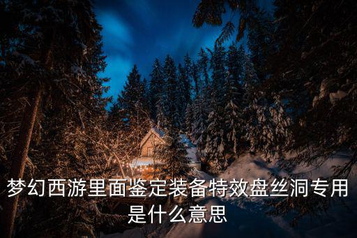 游戏装备鉴定什么意义，QQ西游装备鉴定是什么