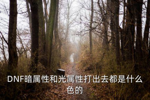DNF暗属性和光属性打出去都是什么色的