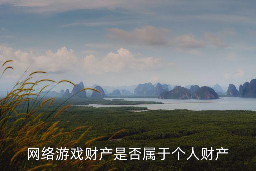 网络游戏财产是否属于个人财产