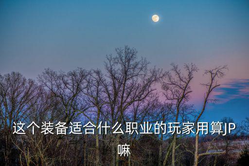 这个装备适合什么职业的玩家用算JP嘛