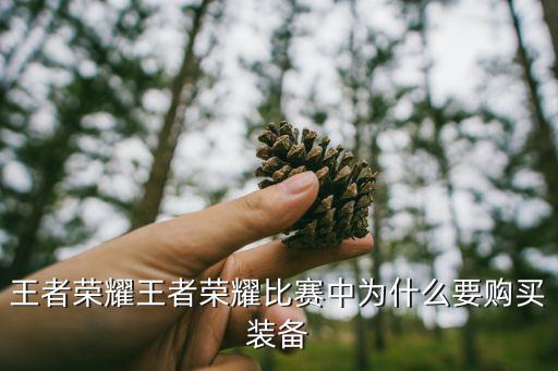 为什么要花钱买游戏装备，游戏里面的东西为什么要用钱买