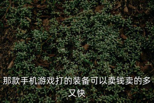 那款手机游戏打的装备可以卖钱卖的多又快