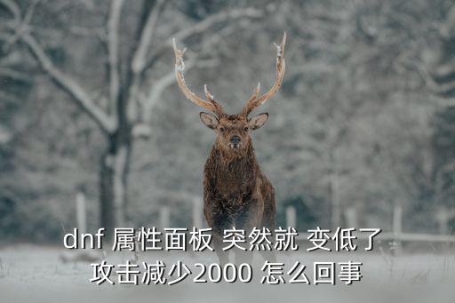 为什么dnf登录属性低了，dnf我今天登录怎么属性都少了好多装备都没变怎么回事啊