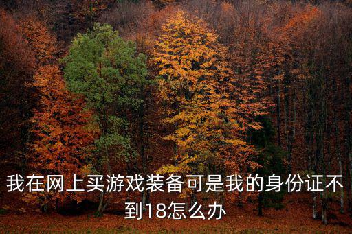 我在网上买游戏装备可是我的身份证不到18怎么办