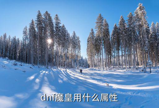 dnf魔皇用什么属性，dnf魔皇应该走什么属性和加点我主要刷图