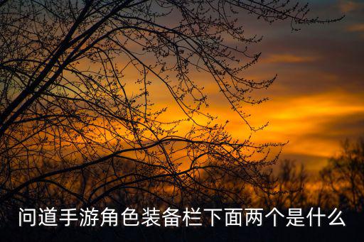 问道手游角色装备栏下面两个是什么