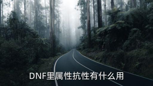 DNF里属性抗性有什么用