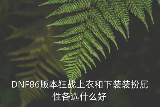 DNF86版本狂战上衣和下装装扮属性各选什么好
