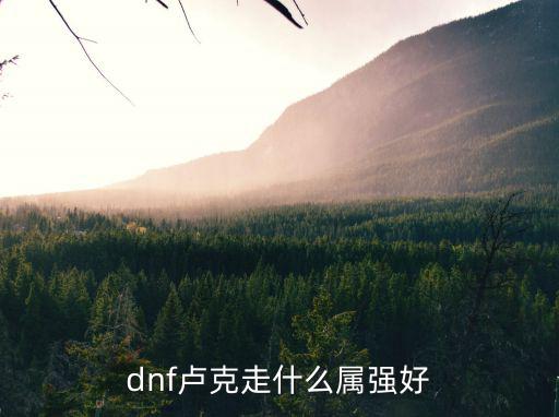 dnf打卢克什么属性，dnf卢克多少属性抗性