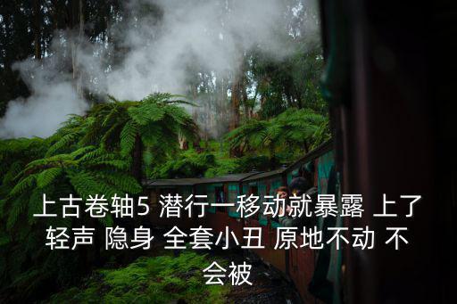 上古卷轴5 潜行一移动就暴露 上了轻声 隐身 全套小丑 原地不动 不会被