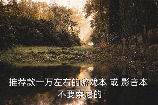 推荐款一万左右的游戏本 或 影音本 不要索尼的