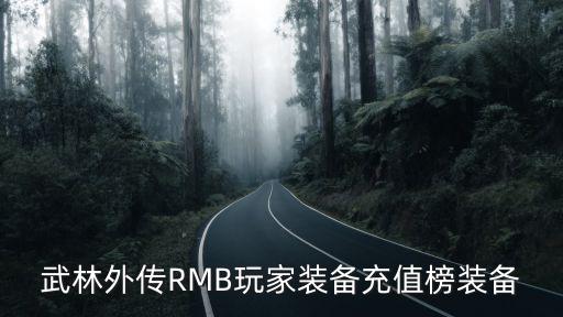 武林外传RMB玩家装备充值榜装备