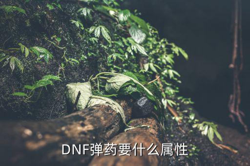 dnf弹药用什么属性，DNF弹药要什么属性