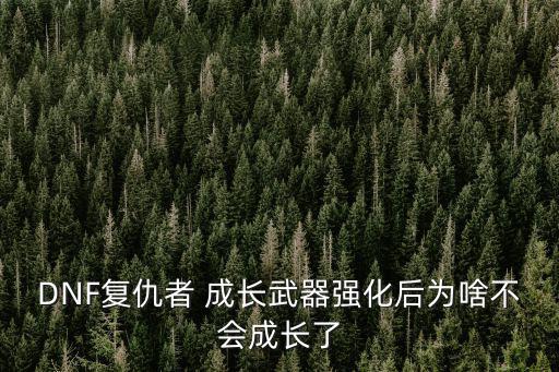 DNF复仇者 成长武器强化后为啥不会成长了