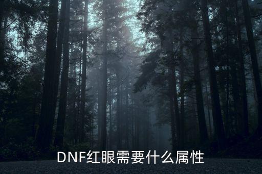 DNF红眼需要什么属性