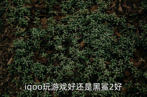 iqoo玩游戏好还是黑鲨2好