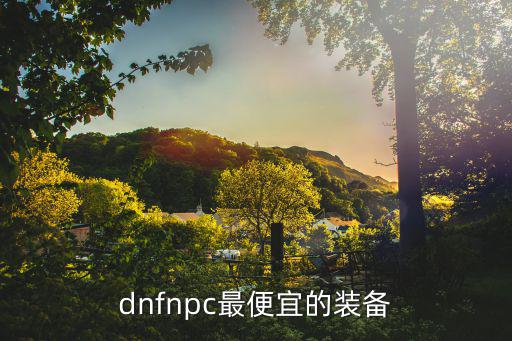 dnfnpc最便宜的装备