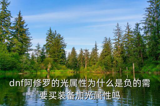 dnf阿修罗的光属性为什么是负的需要买装备加光属性吗