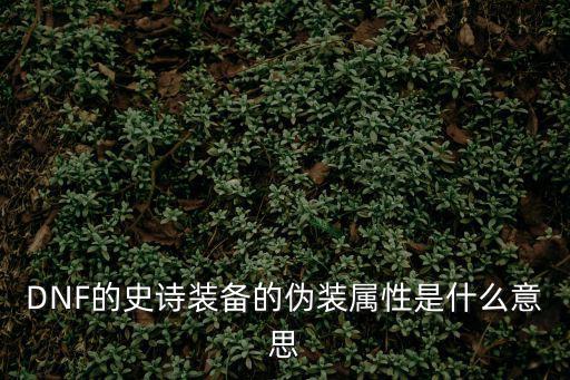 DNF的史诗装备的伪装属性是什么意思