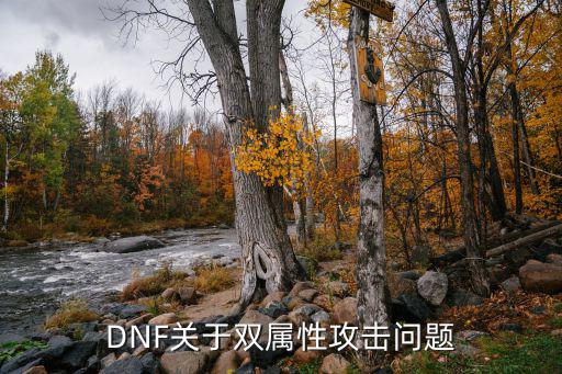 DNF关于双属性攻击问题