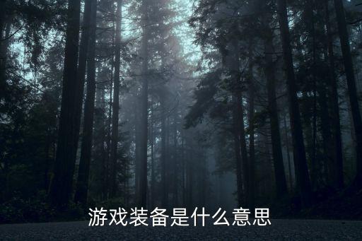 游戏装备是什么意思