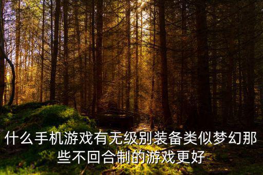 什么手机游戏有无级别装备类似梦幻那些不回合制的游戏更好