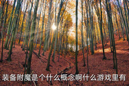 游戏装备附魔是什么，装备附魔是个什么概念啊什么游戏里有