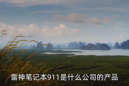雷神笔记本911是什么公司的产品