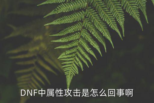 dnf为什么要属性攻击，额 小白问个问题 dnf的属性攻击是怎么回事