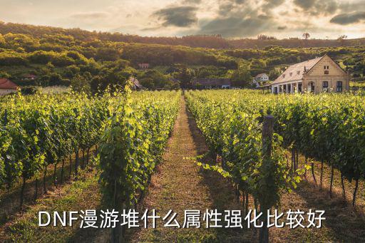 DNF漫游堆什么属性强化比较好