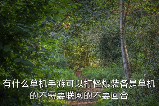有什么单机手游可以打怪爆装备是单机的不需要联网的不要回合