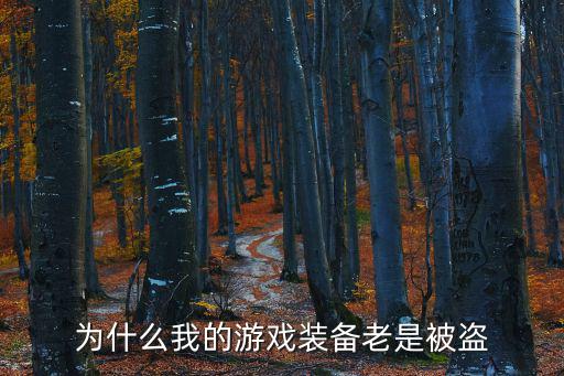 为什么我的游戏装备老是被盗