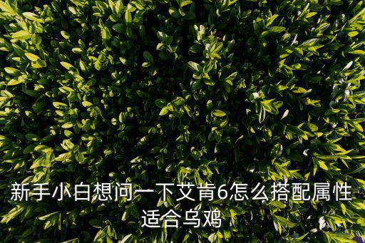 新手小白想问一下艾肯6怎么搭配属性适合乌鸡