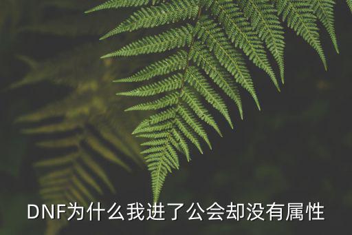 dnf公会属性为什么没有，dnf工会属性怎么没了