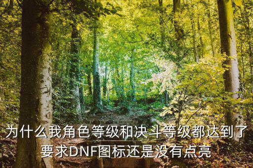 为什么我角色等级和决斗等级都达到了要求DNF图标还是没有点亮