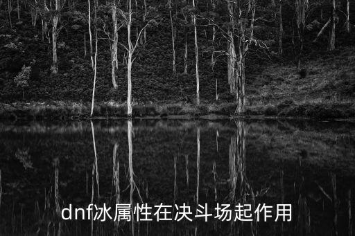 dnf冰属性在决斗场起作用