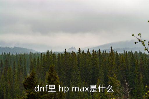 dnf里 hp max是什么