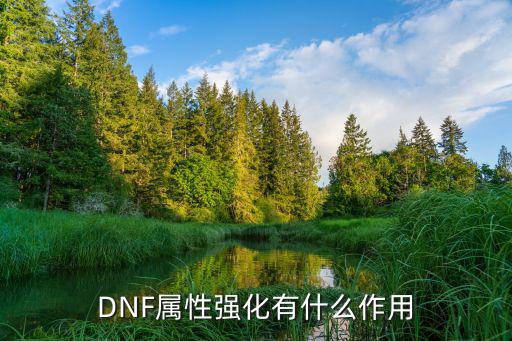 dnf属性强化是什么，DNF属性强化有什么作用
