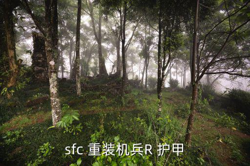 sfc 重装机兵R 护甲